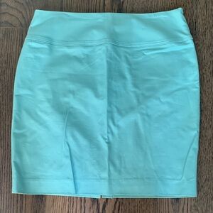 Ellen Tracy skirt